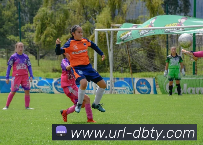 DB体育服务体系